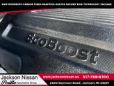Thumbnail of 2018 Magnetic Ford F-150