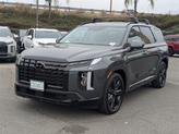 Thumbnail of 2025 Steel Graphite Hyundai PALISADE