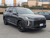 Thumbnail of 2025 Steel Graphite Hyundai PALISADE
