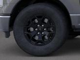 Thumbnail of 2025 Carbonized Gray Metallic Ford F-150 Lightning