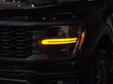 Thumbnail of 2025 Agate Black Metallic Ford F-150