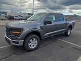 Photo of 2025 Carbonized Gray Metallic Ford F-150