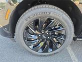 Thumbnail of 2025 Lincoln Navigator
