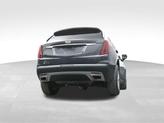 Thumbnail of 2021 Wilder Metallic Cadillac XT5
