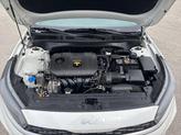 Thumbnail of 2024 Snow White Pearl Kia Forte