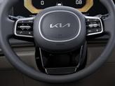 Thumbnail of 2026 Flare Red Kia Carnival