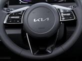 Thumbnail of 2025 Gravity Gray Kia Seltos