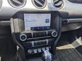 Thumbnail of 2020 Magnetic Ford Mustang