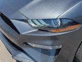 Thumbnail of 2020 Magnetic Ford Mustang