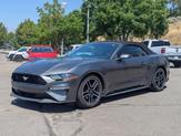 Thumbnail of 2020 Magnetic Ford Mustang
