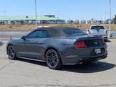 Thumbnail of 2020 Magnetic Ford Mustang