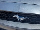 Thumbnail of 2020 Magnetic Ford Mustang