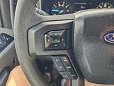 Thumbnail of 2020 Magma Red Ford F-150