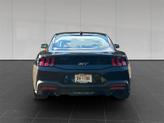 Thumbnail of 2024 SHADOW BLACK Ford Mustang