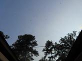 Thumbnail of 2011 Other Chevrolet Tahoe