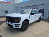 Photo of 2025 Oxford White Ford F-150