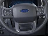 Thumbnail of 2025 Gray Metallic Ford F-150