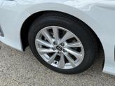 Thumbnail of 2023 Ice Edge Toyota Camry