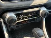 Thumbnail of 2019 Magnetic Gray Metallic Toyota RAV4
