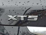 Thumbnail of 2018 Stellar Black Metallic Cadillac XT5