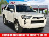 Photo of 2024 Ice Cap Toyota 4Runner