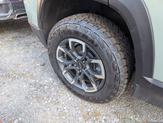 Thumbnail of 2025 Cacti Green Chevrolet Equinox