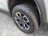 Thumbnail of 2025 Cacti Green Chevrolet Equinox