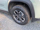 Thumbnail of 2025 Cacti Green Chevrolet Equinox