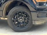 Thumbnail of 2025 Agate Black Metallic Ford F-150