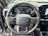 Thumbnail of 2023 Carbonized Gray Metallic Ford F-150
