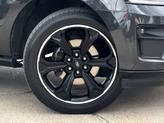 Thumbnail of 2023 Agate Black Metallic Ford Expedition