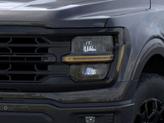 Thumbnail of 2025 Agate Black Metallic Ford F-150