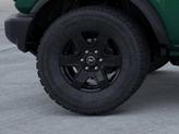 Thumbnail of 2025 Eruption Green Metallic Ford Bronco