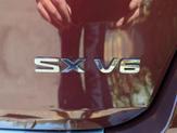 Thumbnail of 2019 Brown Kia Sorento