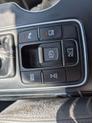 Thumbnail of 2019 Brown Kia Sorento