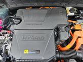 Thumbnail of 2025 Green Kia Niro Plug-In Hybrid