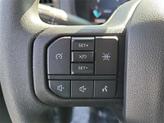 Thumbnail of 2025 Carbonized Gray Metallic Ford F-150