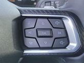 Thumbnail of 2025 Race Red Ford Mustang