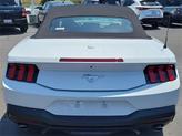 Thumbnail of 2025 Oxford White Ford Mustang