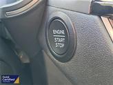 Thumbnail of 2023 Star White Ford Escape