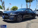 Thumbnail of 2019 Shadow Black Ford Mustang