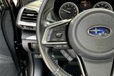 Thumbnail of 2019 Dark Gray Metallic Subaru Forester
