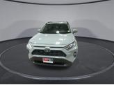 Thumbnail of 2019 Lunar Rock Toyota RAV4