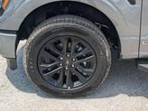Thumbnail of 2025 Carbonized Gray Metallic Ford F-150