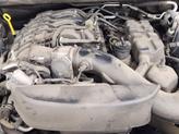Thumbnail of 2023 White Knuckle Clearcoat Dodge Durango