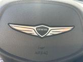 Thumbnail of 2025 Vik Black Genesis G70