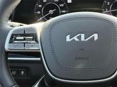 Thumbnail of 2025 Gray Kia Telluride
