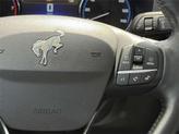 Thumbnail of 2023 Eruption Green Metallic Ford Bronco Sport