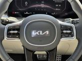 Thumbnail of 2025 Road Rider Bwn Kia Sorento
