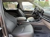 Thumbnail of 2026 Panthera Metal Kia Carnival Hybrid